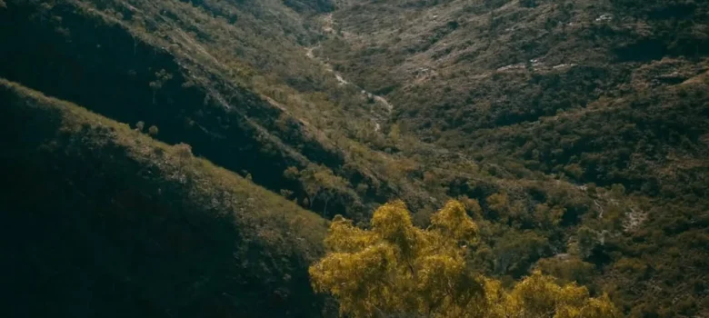 Larapinta Trail