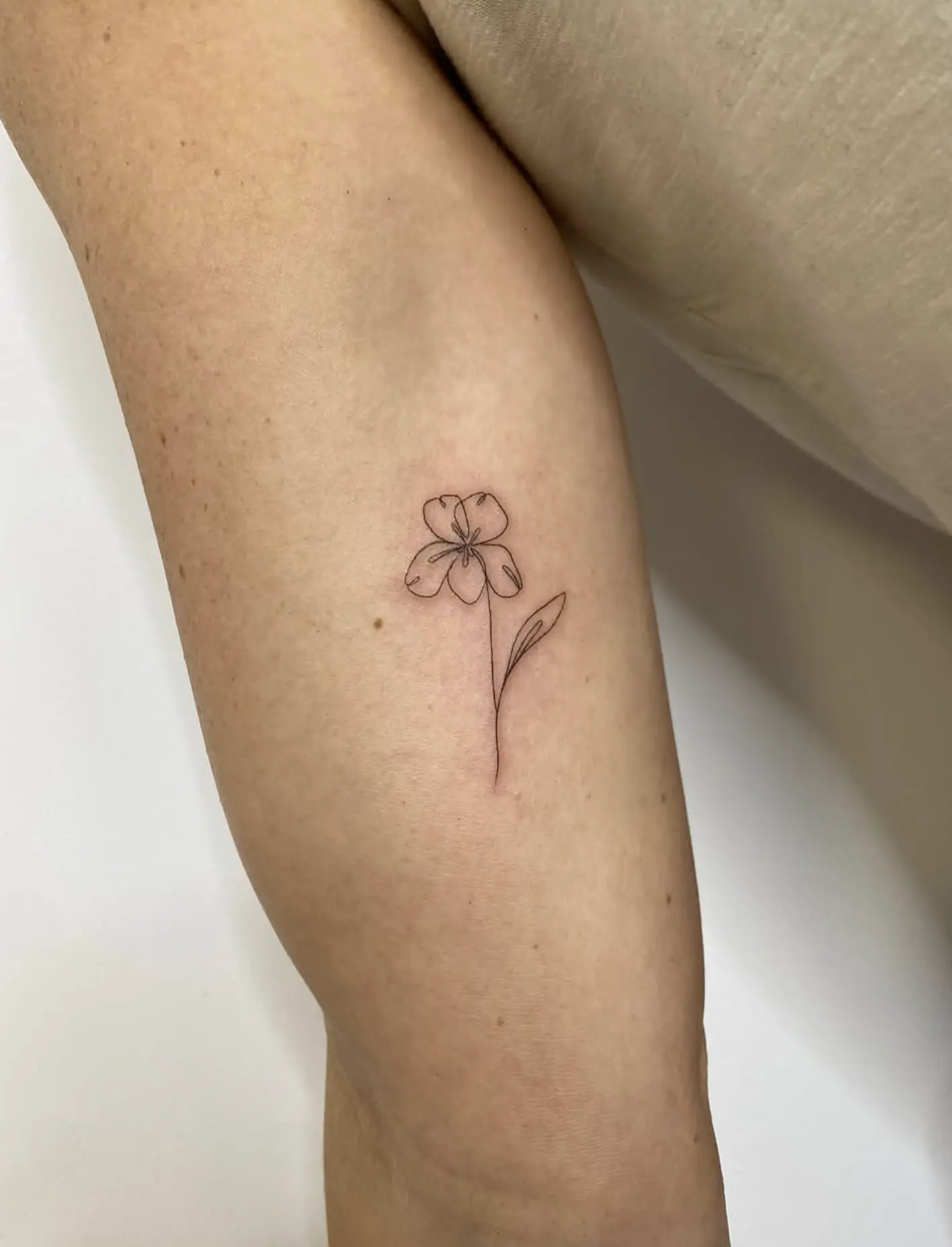 fine line tattoo course
